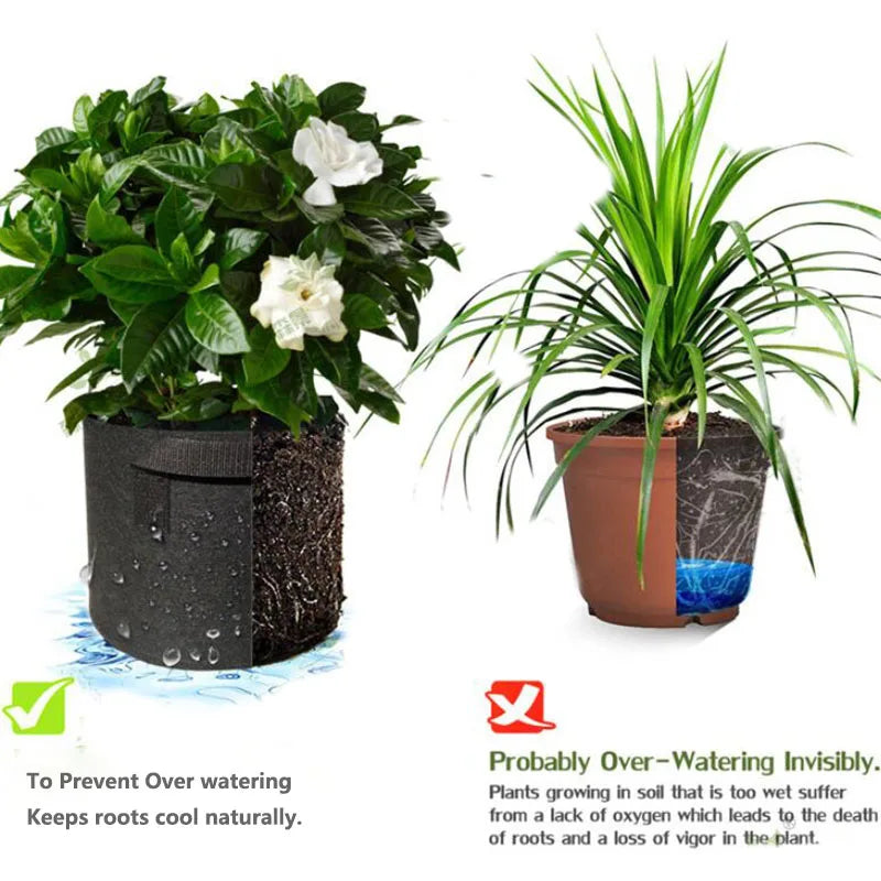 Naked Root Breathable Planter